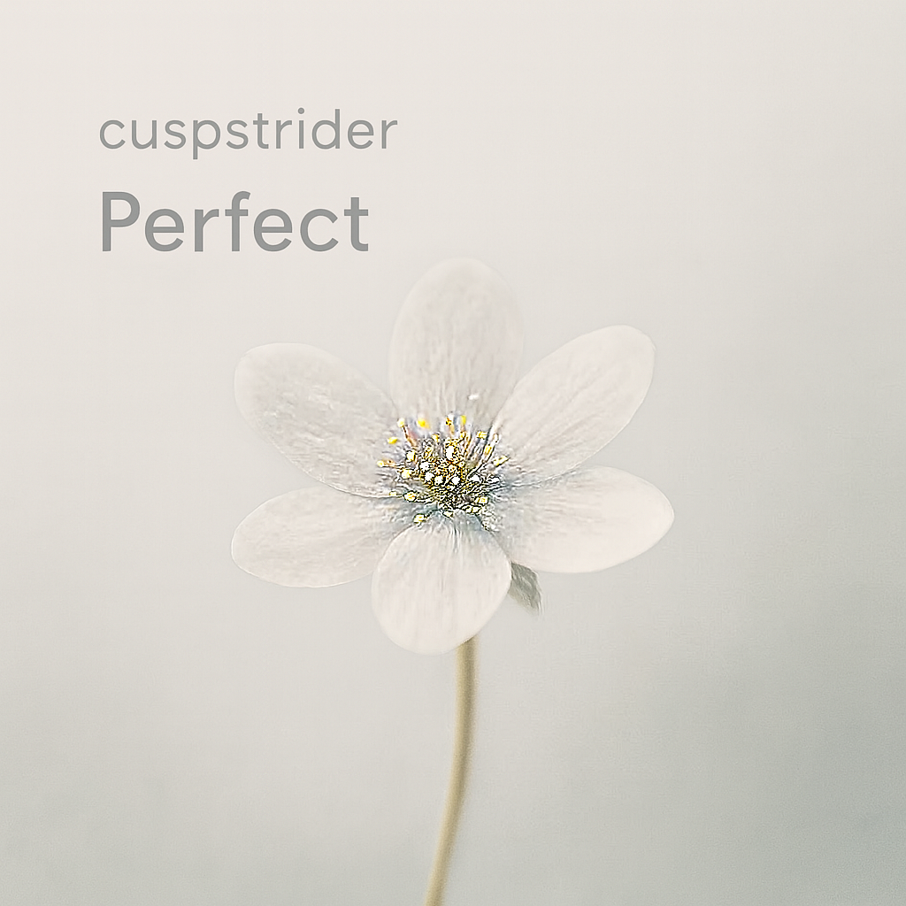 Virtues of Silence cover